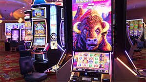 dewa togel featured game showcase